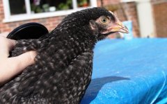 20120318_99_4.jpg