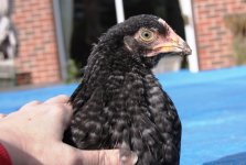 20120318_99_11.jpg