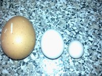 weeny egg.jpg