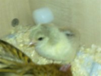 Picture 068 (Small).jpg