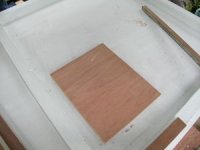 APDC0745 (300x225).jpg