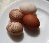 20120609_99_26.jpg