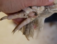 20120715_99_10.jpg