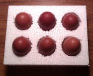barnevelder%2520hatching%2520eggs.jpg