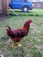 20120927_174832.jpg