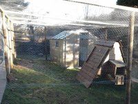 walls all fenced (800x600).jpg