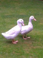 Screen_20120815_134331.jpg
