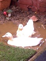 Screen_20120823_15145.jpg