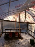 Chicken Biodome 003.jpg