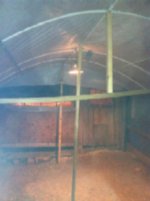 Chicken Biodome 014.jpg