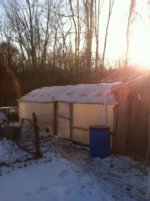 Chicken Biodome 005.jpg