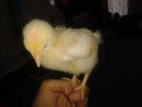 20130325_102249.jpg