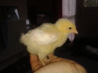 20130325_102202.jpg