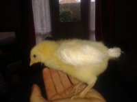 20130325_103239.jpg