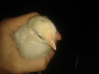 20130325_103403.jpg