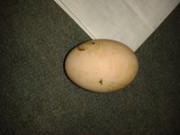 20130326_083359.jpg