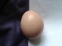 20130408_091344.jpg
