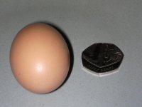 CAM_0090.JPG