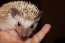 Untitled.jpg Untitled.jpg