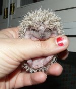 Untitled.png3.jpg Untitled.png3.jpg