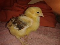 20130512_101605.jpg