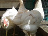 20130512_104122.jpg