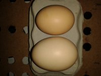 20130513_080305.jpg