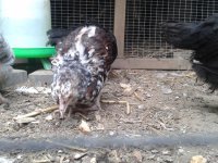 20130610_113832.jpg