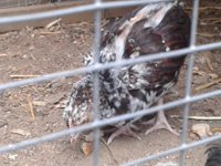 20130610_113803.jpg