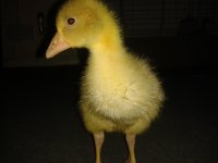 20130612_064758.jpg