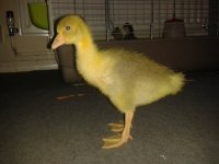 20130612_064746.jpg