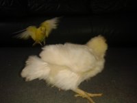 20130613_105321.jpg 20130613_105321.jpg