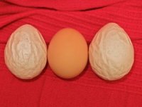 strange egg 2.jpg strange egg 2.jpg