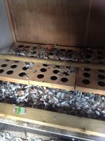 Picture (Small).jpg