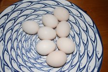 eggs.jpg
