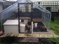 New home 2.jpg