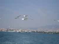SDC10850.JPG