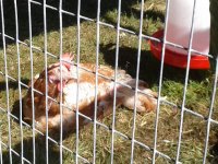 20140515_102833.jpg