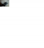 test 1.png