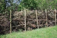 deadhedge2.JPG
