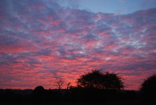 Sunset 1.JPG