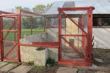 chicken run.jpg