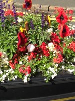Yarnbomb4.JPG
