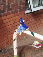 Yarnbomb1.JPG