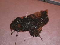 IMG_6090.JPG
