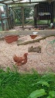 19074854_1362406053828773_2084806126_.jpg 19074854_1362406053828773_2084806126_.jpg