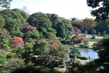Rikugugien Garden.jpg