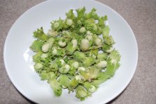 Haezelnuts.jpg