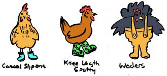 wellies.jpg