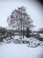 IMG_3286.JPG